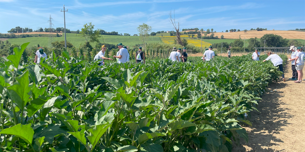 Grande successo per il primo Campo Catalogo di Seedium